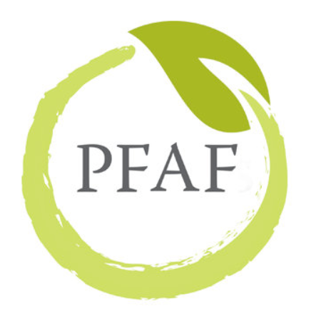 Plant Icon